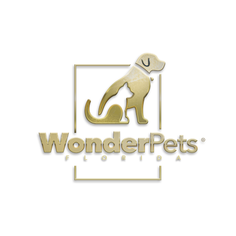 Wonder Pets Florida